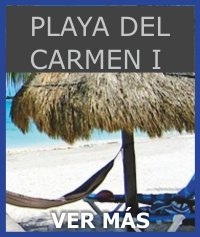 Playa Del Carmen Completo